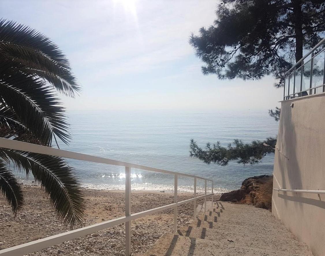 Spitaki * Potos