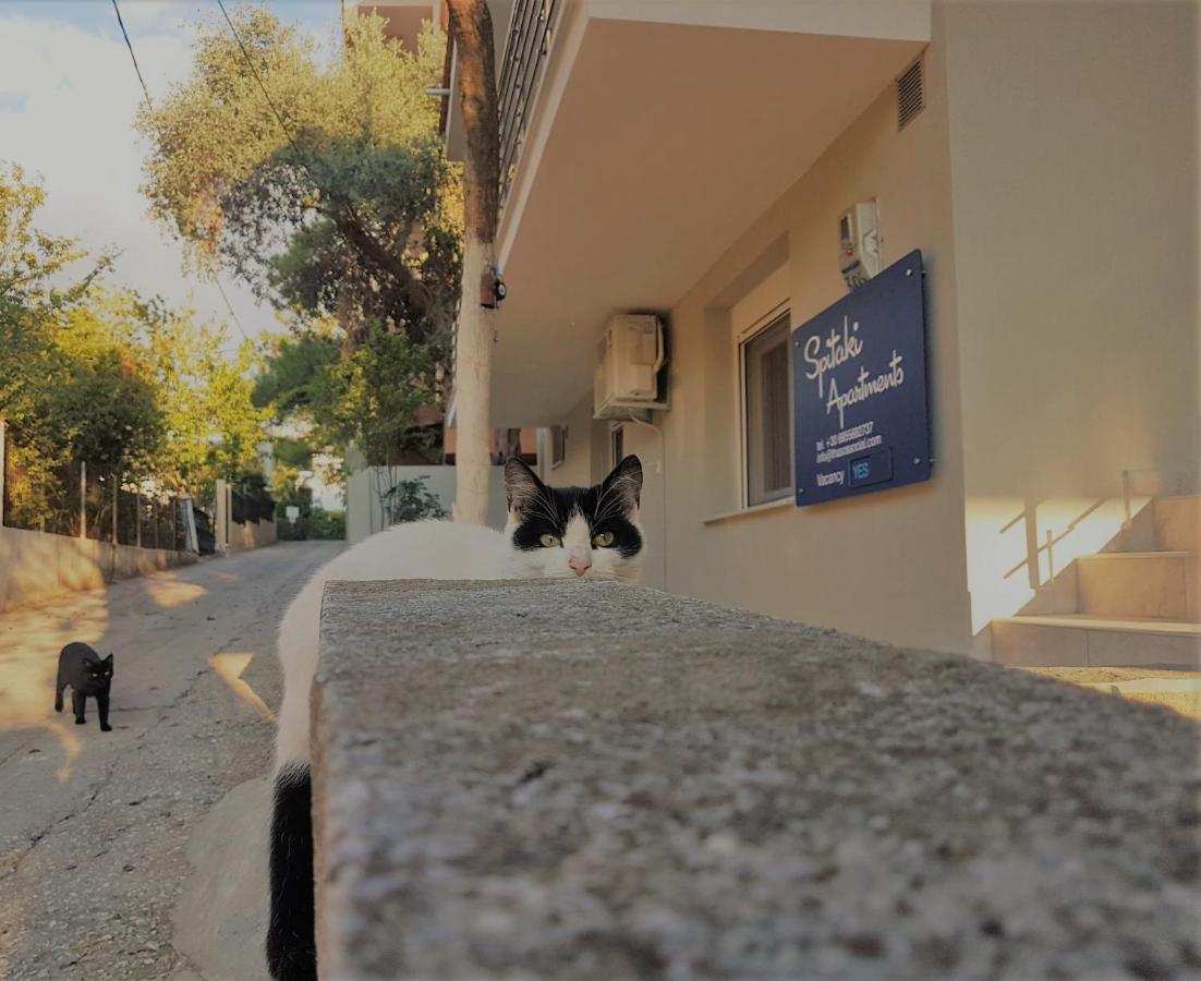Spitaki Apartment
